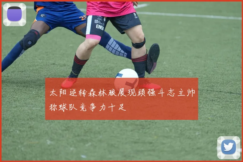 太阳逆转森林狼展现顽强斗志主帅称球队竞争力十足